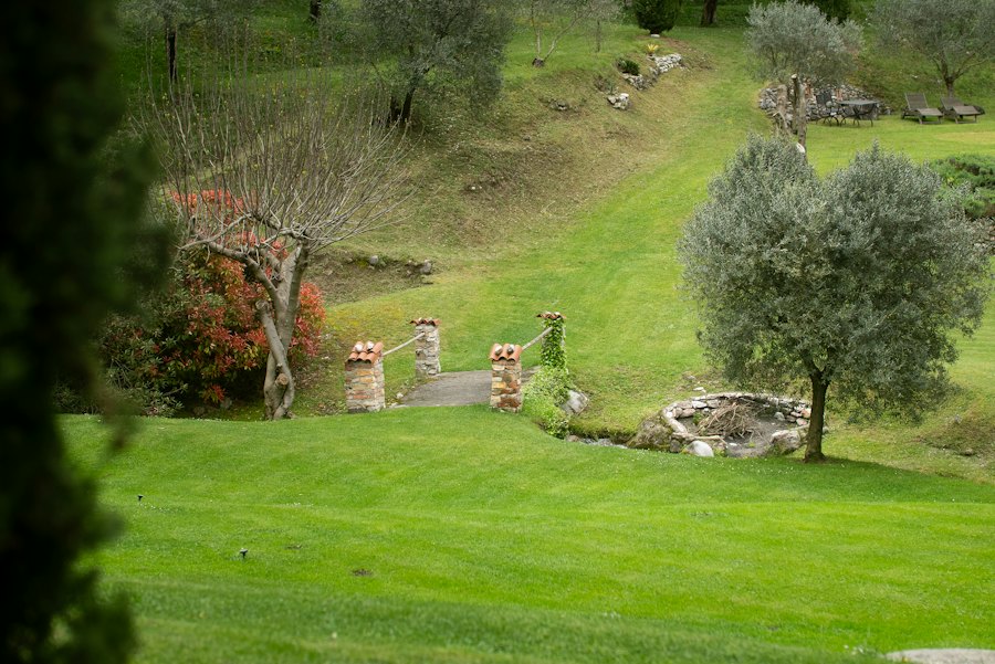 Neatly maintained green lawn and garden