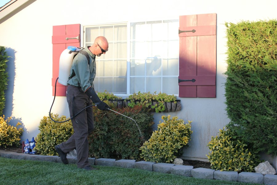 Pest control technician treating the outside of a house